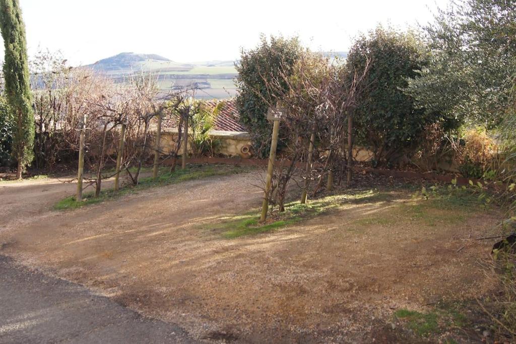 Les Pierres Blondes Apartment Montpeyroux  Exterior foto